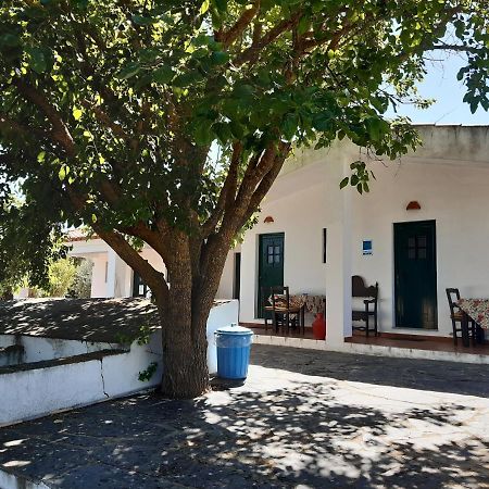 Horta Do Muro Guest House Campo Maior Exterior photo