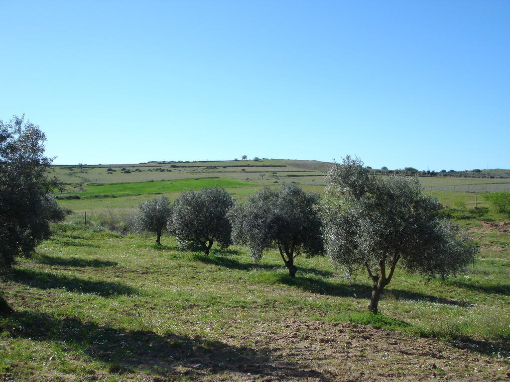 Horta Do Muro Guest House Campo Maior Exterior photo